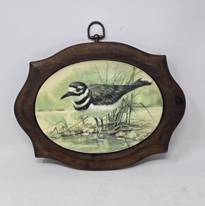 Vtg beaded glass dome 1970 floral wall art wood killdeer bird farmhouse nature